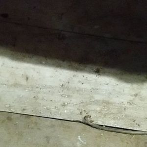 Meet your Posher, Marcia